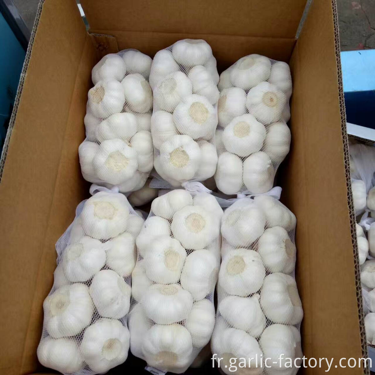 Fresh Garlic 1kg mesh bag 10kg carton